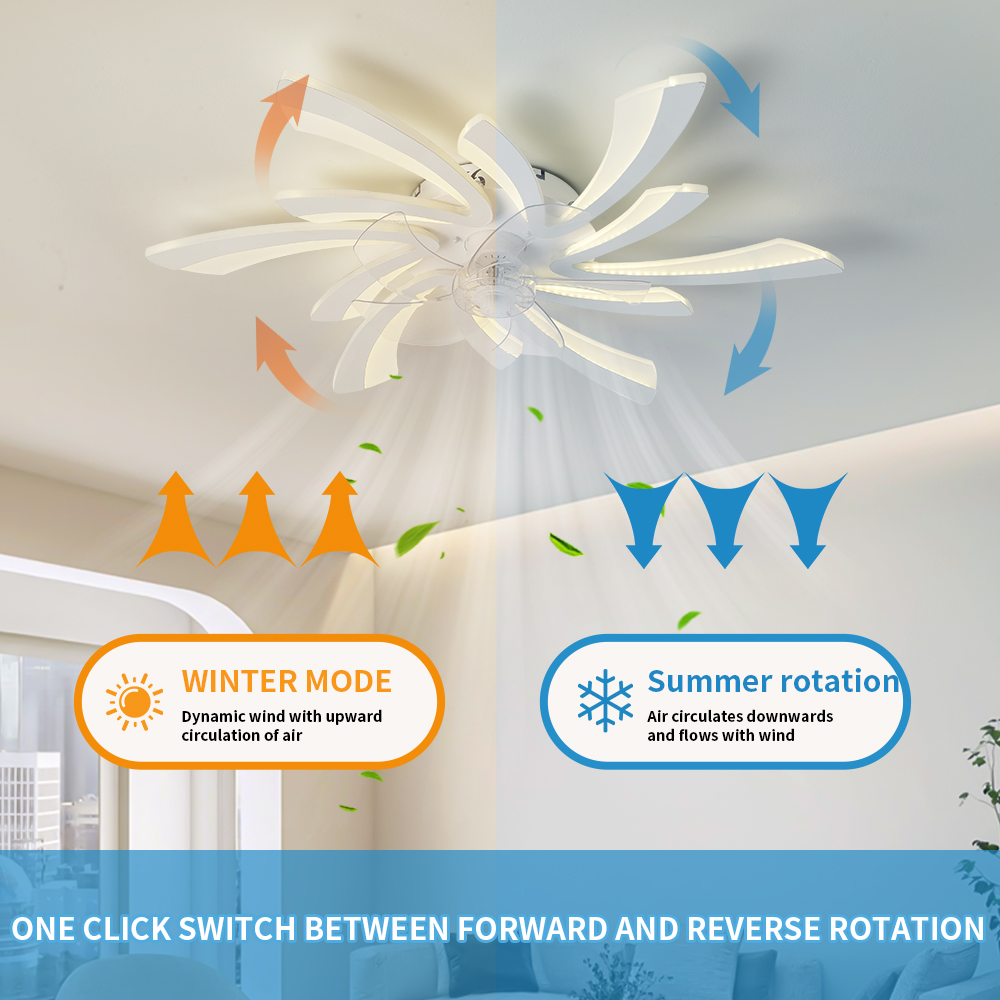 LED متواضع مصابيح السقف المعلق - مراجعة Decor Lighting Ceiling Fans وسعره