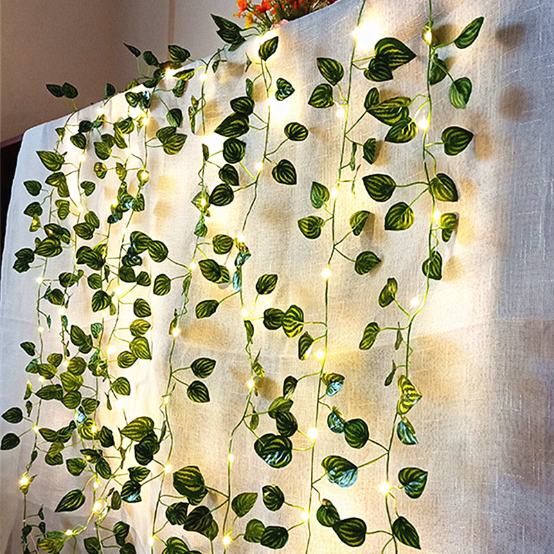 زينة زفاف تعمل بالبطارية، إكلي - مراجعة Fairy Light Curtain وسعره